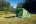 BAUL 4 палатка, 4, зелёный